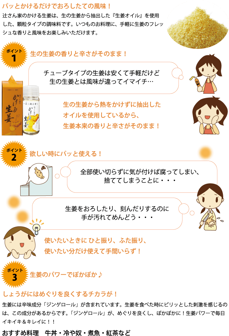 かける生姜の説明